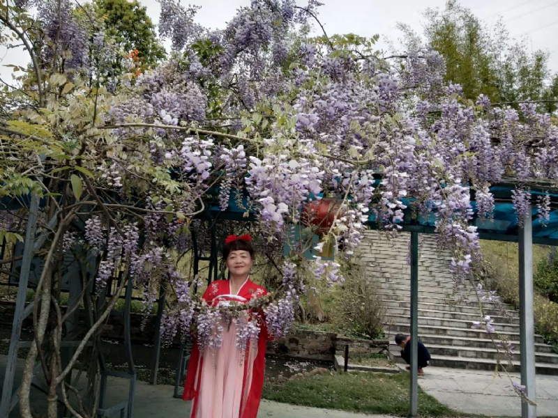 莉莉的第一张照片--平和婚介网