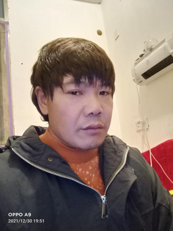 小鸟找窝的第一张照片--平和婚介网